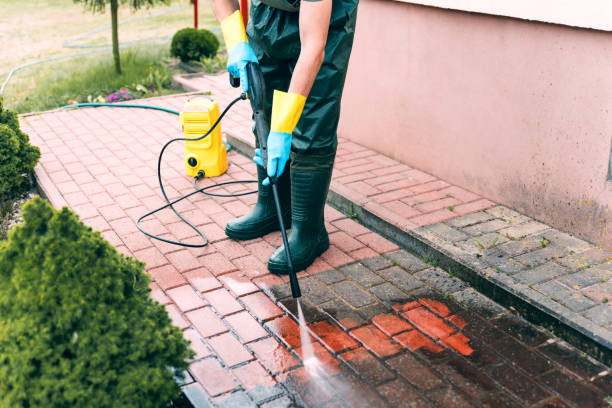 Best Concrete Sealing  in Bellevue, IL