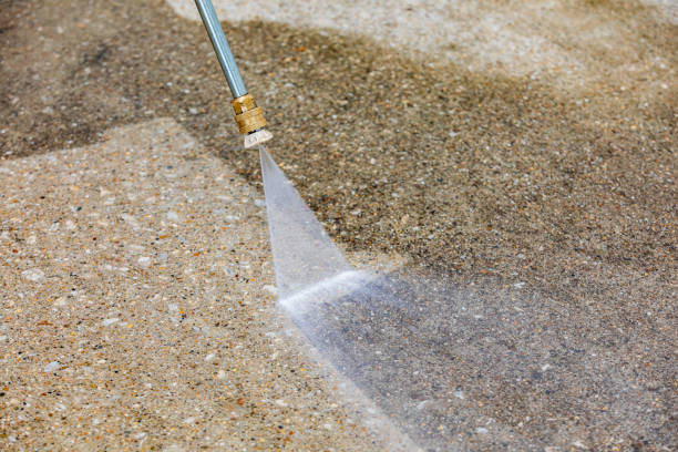 Best Pre-Holiday Cleaning  in Bellevue, IL