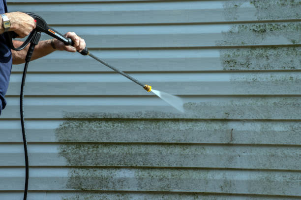 Best Fence Cleaning  in Bellevue, IL